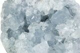 Sparkling Celestine (Celestite) Crystal Cluster - Madagascar #376111-1